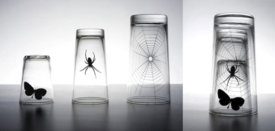 butterfly and spider propagada