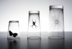 Butterfly & Spider Propaganda