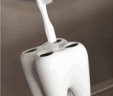 Tooth